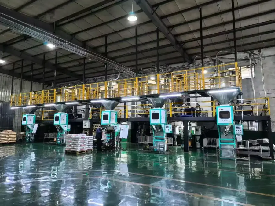 Automated bagging and palletizing line